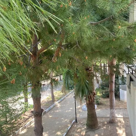 Palm Club Ξενοδοχείο με διαμερίσματα Κουσάντασι