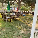 Palm Club 쿠사다시