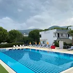 Palm Club
