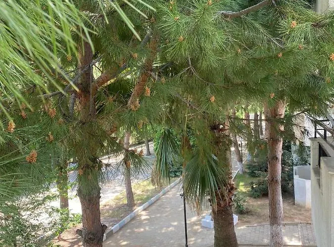 Palm Club 아파트호텔 쿠사다시