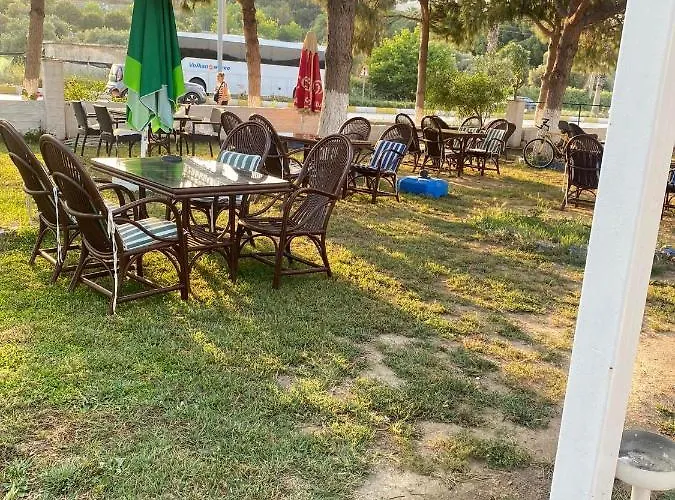 Palm Club 쿠사다시